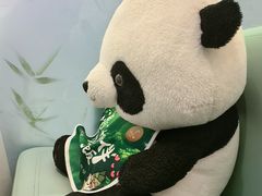 -眉州东坡·熊猫主题餐厅(枫蓝店)