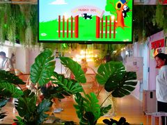 -Husky Go! 哈士奇体验馆·宠物咖啡厅狗咖