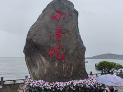 -小普陀