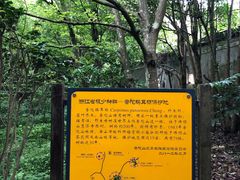 -普陀山风景区-佛顶山