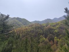 -玉渡山自然风景区