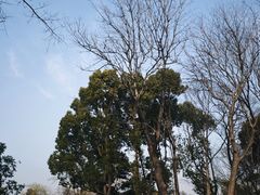 -七桥瓮公园