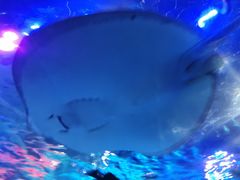 -沈阳海洋探索中心