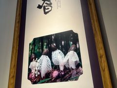 -三江里·宜宾川菜(亚运村店)