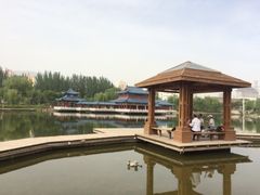 -雁滩公园