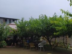 -玫瑰庄园·自助烧烤·烤全羊·团建拓展(龙泉山店)