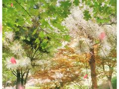 -鹦鹉寺公园