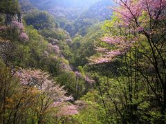 景点-老君洞旅游度假区