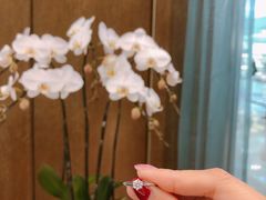 -Tiffany & Co.蒂芙尼
(广州太古汇店)