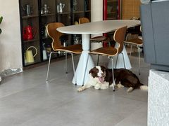 -时间抽屉(裕华万达广场店)