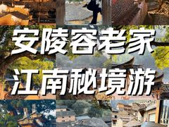 -杨家堂村