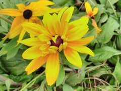 -永定河休闲森林公园