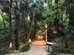 -中山公园(石岐街道)