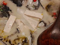 泉水生态鱼-老傅家湘潭水煮活鱼店(众一国际店)