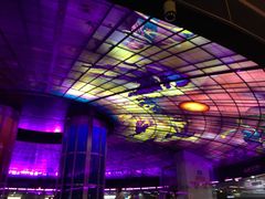 -捷运美丽岛站(The Dome of Light)