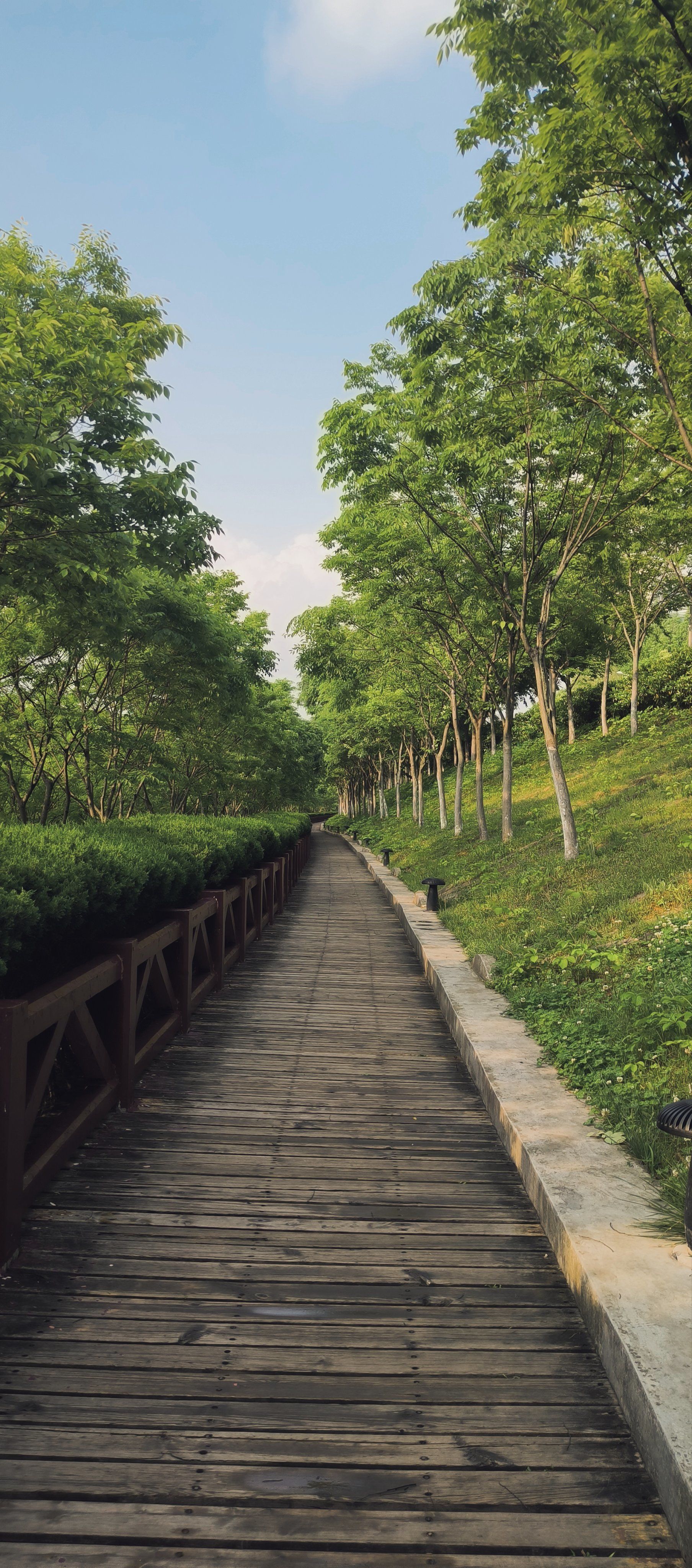 这步道太有故事感了吧9999