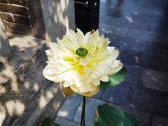 -西安市广仁寺