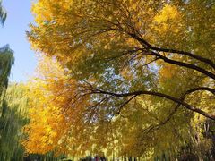 -玲珑塔公园