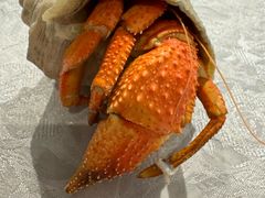 -丁字口海鲜热炒·烧烤大排档