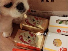 -麦当劳(农光里店)