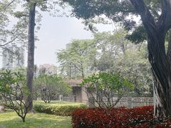 -晓港公园