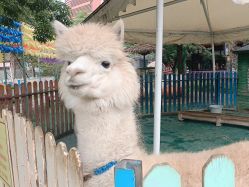 -萌宠亲子动物乐园(槐房万达店)