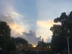 -世纪缘湖滨花园酒店(玄武湖店)