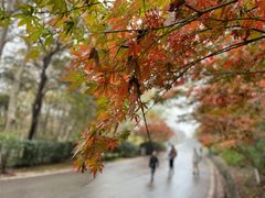 -南京市江宁方山