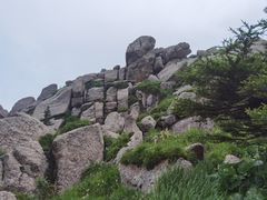 -芦芽山旅游度假区