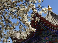 -西安市广仁寺
