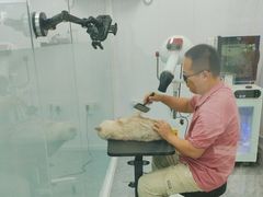 -爱洗澡的猫(望京店)