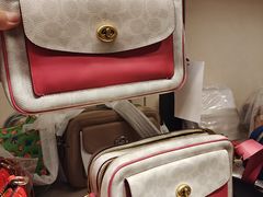 -COACH蔻驰(恒隆广场店)