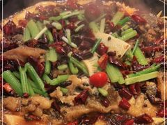 -老板恋上鱼(恒隆广场店)