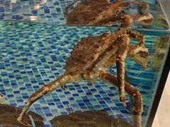 -海鲜码头·中国菜