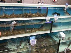 -盒马鲜生(大成店)
