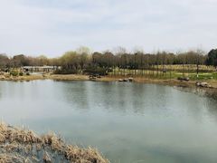 -贡湖湾湿地公园