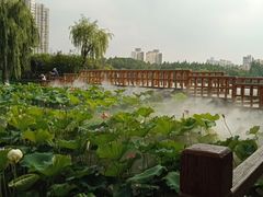 -黄兴公园