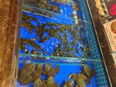 -黑金·寻焰自助百汇·烤肉·火锅(中街店)
