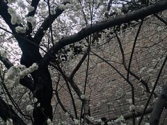-雍和宫(地铁站)