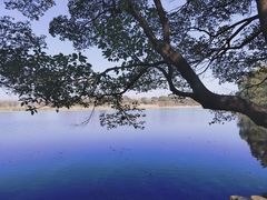 -东湖落雁景区