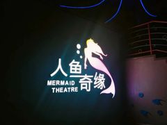 -泉城欧乐堡海洋极地世界