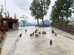 -重庆云阳龙缸景区