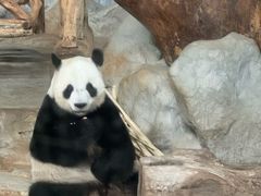 -海南热带野生动植物园