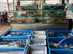 -旗鱼海番村(Orang Asli)