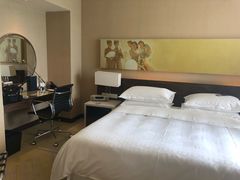 -芽庄喜来登水疗酒店