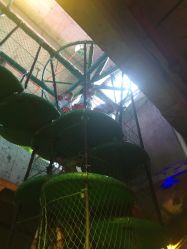 点击看大图 -恐龙探索乐园(磁器口店)