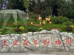 -大连森林动物园