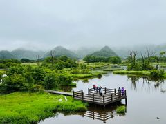 -大九湖