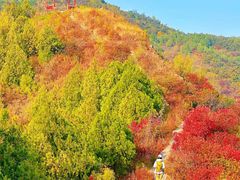 -大岭沟猕猴桃谷风景区