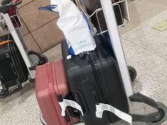 -中部国际机场